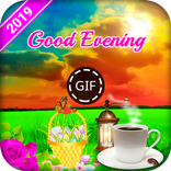 Good Evening GIFS