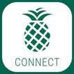Pineapple Connect