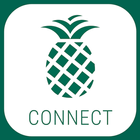 Pineapple Connect icône