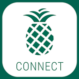 Pineapple Connect