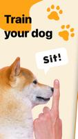 پوستر Dog At Home - Puppy Training