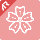 AR벚꽃 icon