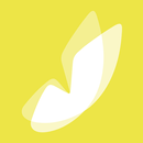 Interflex Air-Scanner APK