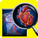 Biology Knowledge Quiz APK