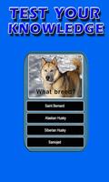 Dog Breeds Trivia captura de pantalla 1