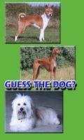 2 Schermata Dog Breeds Trivia