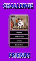Dog Breeds Trivia captura de pantalla 3