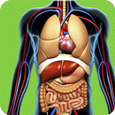 Human Anatomy Pro Trivia APK