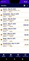Betting Performance Tracker capture d'écran 2