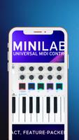 Arturia for Minilab Hint скриншот 1