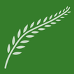ICCFA icon
