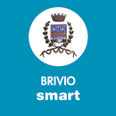 Brivio Smart APK