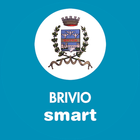 Brivio Smart biểu tượng