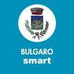 Bulgaro Smart icon