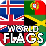Identify the World Flags Game icône
