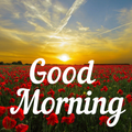 Good Morning Images & Messages for Dp And Status