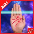Palm Reading