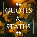 11000 Quotes, Sayings & Status