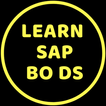 Learn SAP BO Data Services