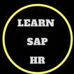 Learn Sap Hr