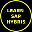 Learn SAP Hybris
