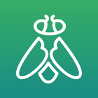 Greenfly icon