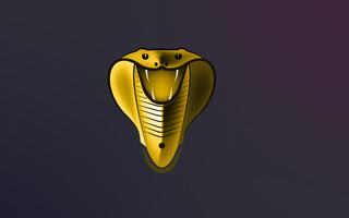 Cobra Gold Player screenshot 3