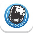 Colégio Anglo Sorocaba - FsF APK