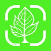 Plant care: Identifier AI アイコン