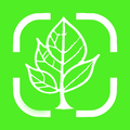 Plant care: Identifier AI