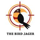 Bird Jager APK