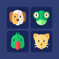 Picture Match Game - Memory Ga