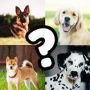 Quiz Devine la race du chien APK