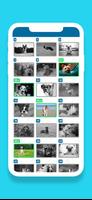 Guess the Dog Breeds Quiz تصوير الشاشة 1