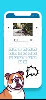 Guess the Dog Breeds Quiz تصوير الشاشة 3