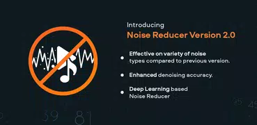 Audio Video Noise Reducer V2