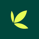 Bamboo: Invest. Trade. Earn. APK
