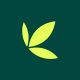 Bamboo: Invest. Trade. Earn. APK