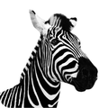 Investec