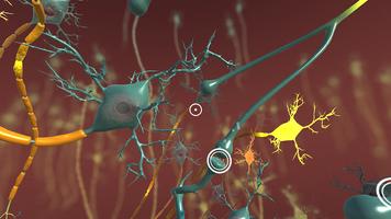 INVIVO Bloodstream Explorer VR capture d'écran 3