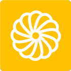 Make it Mandala icon