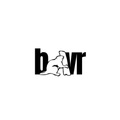 Beaver