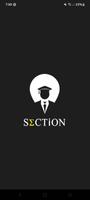 Section постер