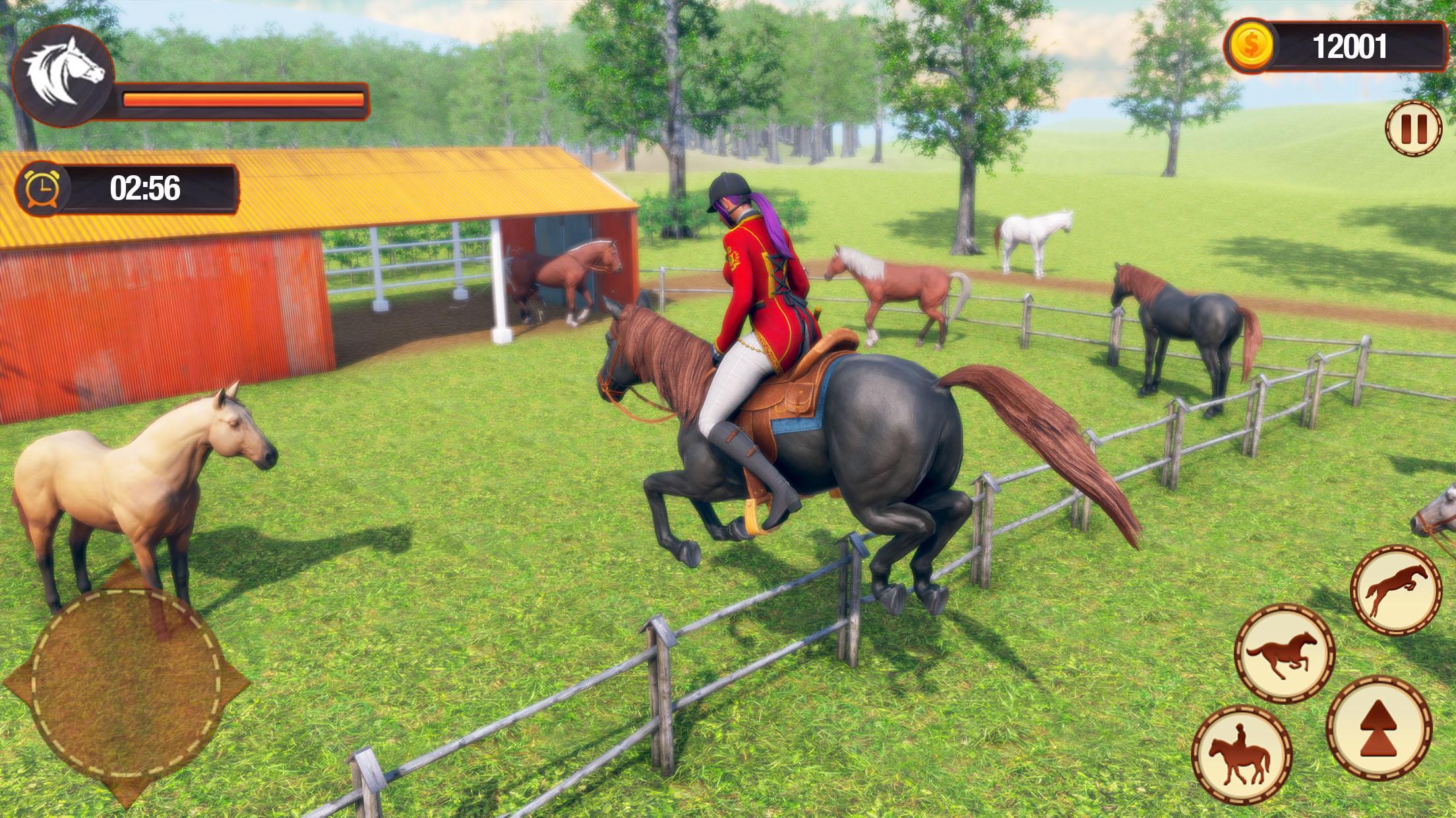 Сюжет игры my Horse Price