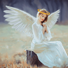 Angel Wings Photo Editor - Win icon