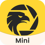 WikiFX Mini-Forex Info Service