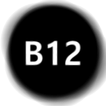 B12App