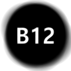 B12App biểu tượng