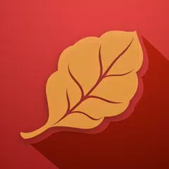 Cigar Scanner XAPK download