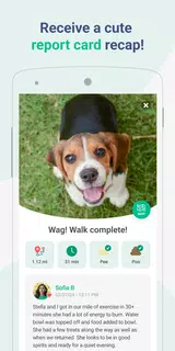 Wag! - Dog Walkers & Sitters